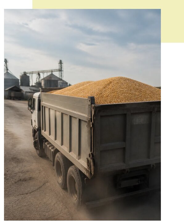 Перевозка сельхозпродукции навалом в Северодвинск по цене от 3036 р. | Агросервис-Свр